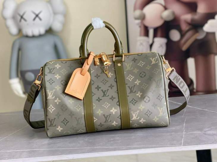 Picture of Louis Vuitton Handbags _SKUfw234998523fw